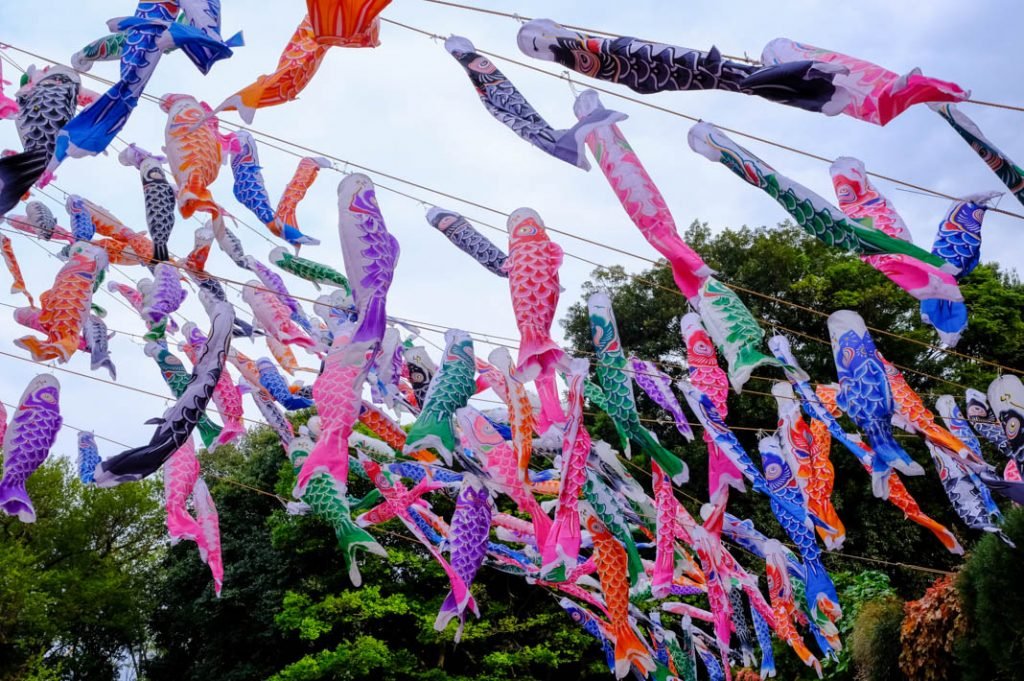 🌳 동백수염 공원(히가시시라히게코엔) 이미지 8